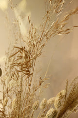 Natural Collection ~ Dried Flower Bouquet - Design by Nature Flowers -
