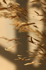 Natural Collection ~ Dried Flower Bouquet - Design by Nature Flowers -