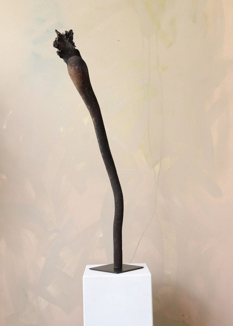 Dried Flower Sea Kelp Sculpture - Design by Nature Flowers -